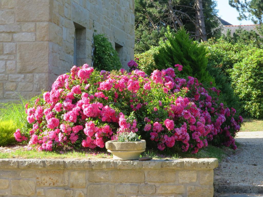 Kerblondel Bed & Breakfast Plouézocʼh Dış mekan fotoğraf
